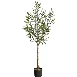 Trees & Topiaries><noscript><img width=