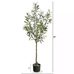 Trees & Topiaries><noscript><img width=
