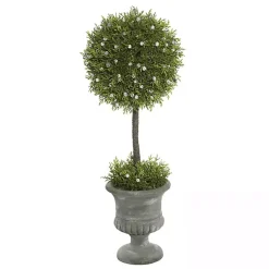 Trees & Topiaries><noscript><img width=