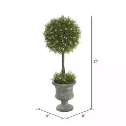 Trees & Topiaries><noscript><img width=