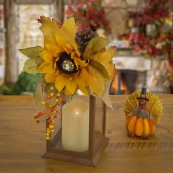 Fall><noscript><img width=