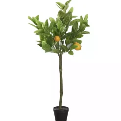 Trees & Topiaries><noscript><img width=
