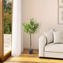 Trees & Topiaries><noscript><img width=