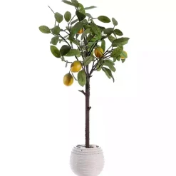 Trees & Topiaries><noscript><img width=