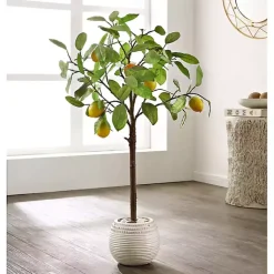 Trees & Topiaries><noscript><img width=