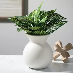 Vases><noscript><img data-lazyloaded=
