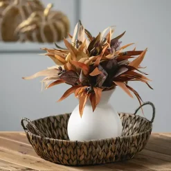 Vases><noscript><img data-lazyloaded=