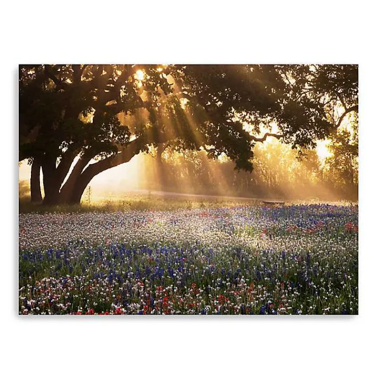 Kirklands Home Morning Meadow Giclee Canvas Art Print, 40x30 in. Yellow Hot