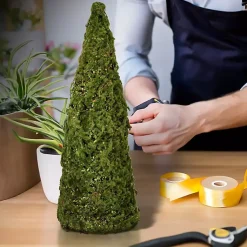 Trees & Topiaries><noscript><img width=