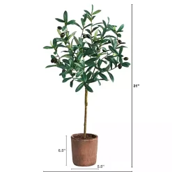 Trees & Topiaries><noscript><img width=