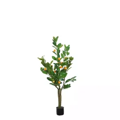 Trees & Topiaries><noscript><img width=