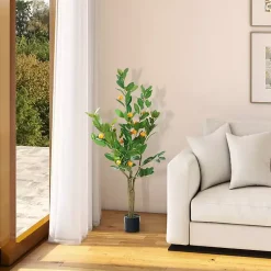 Trees & Topiaries><noscript><img width=