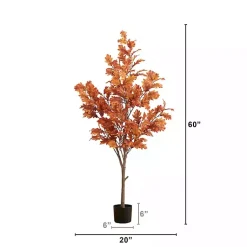 Trees & Topiaries><noscript><img width=