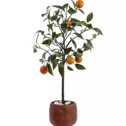 Trees & Topiaries><noscript><img width=
