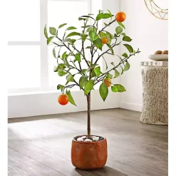 Trees & Topiaries><noscript><img width=
