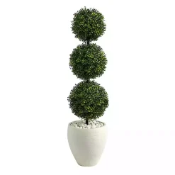 Trees & Topiaries><noscript><img width=