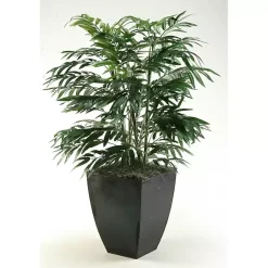 Trees & Topiaries><noscript><img width=