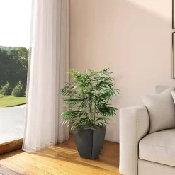 Trees & Topiaries><noscript><img width=
