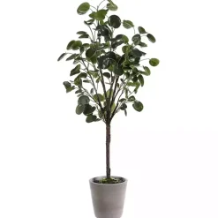Trees & Topiaries><noscript><img width=