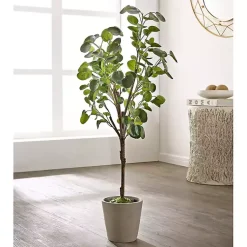 Trees & Topiaries><noscript><img width=