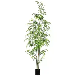 Trees & Topiaries><noscript><img width=