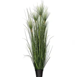 Trees & Topiaries><noscript><img width=