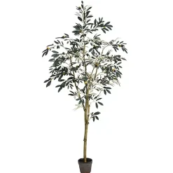 Trees & Topiaries><noscript><img width=