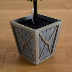 Trees & Topiaries><noscript><img width=