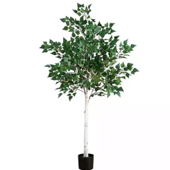 Trees & Topiaries><noscript><img width=