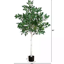 Trees & Topiaries><noscript><img width=