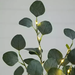 Trees & Topiaries><noscript><img width=