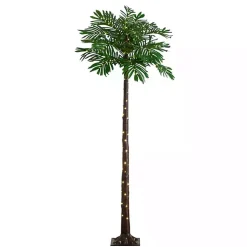 Trees & Topiaries><noscript><img width=