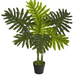 Trees & Topiaries><noscript><img width=