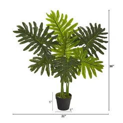 Trees & Topiaries><noscript><img width=