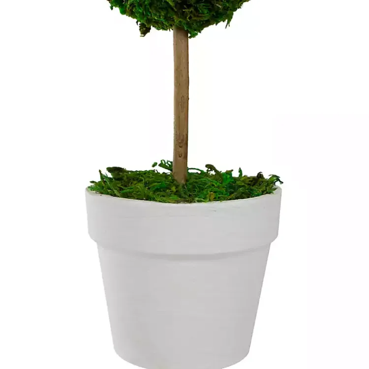 Trees & Topiaries>Kirklands Home Reindeer Moss Ball Topiary in White Pot