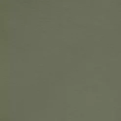Kirklands Home Sage Room Darkening Curtain Panel Set, 63 in. Green