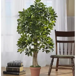 Trees & Topiaries><noscript><img width=