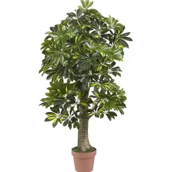 Trees & Topiaries><noscript><img width=