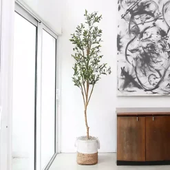 Trees & Topiaries><noscript><img width=
