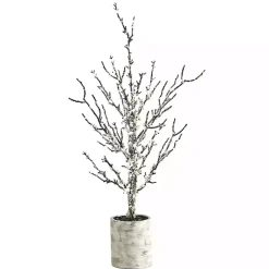 Trees & Topiaries><noscript><img width=