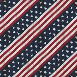 Kirklands Home Stars & Stripes Tufted Outdoor Cushions, Set of 2 Best