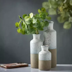 Vases><noscript><img width=