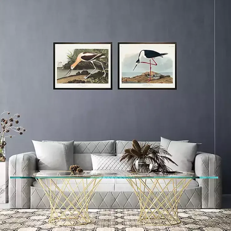 Kirklands Home Vintage American Avocet Bookplate Framed Art Print Sale
