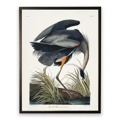 Kirklands Home Vintage Blue Heron Bookplate Framed Art Print Discount