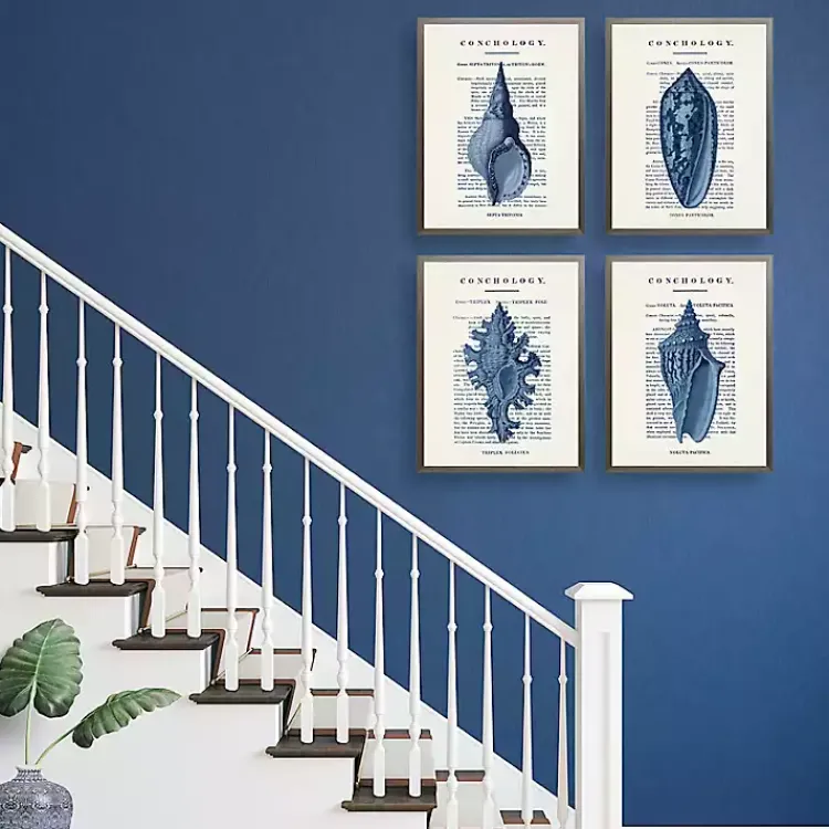 Kirklands Home Vintage Blue Shells Framed Art Prints, Set of 4 Outlet