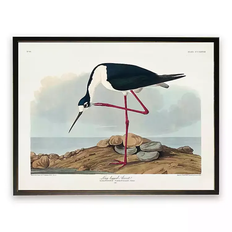 Kirklands Home Vintage Long Legged Avocet Framed Art Print Hot