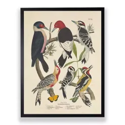 Kirklands Home Vintage Woodpecker Birds Framed Art Print Clearance