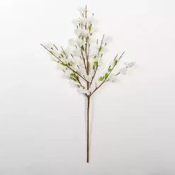 Stems & Bouquets><noscript><img width=