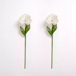 Stems & Bouquets><noscript><img width=