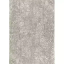 Kirklands Home Whitlow Shag Washable Area Rug, 5x8 Gray New